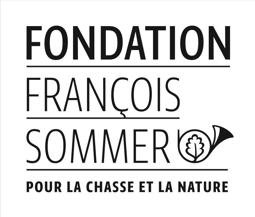 Logo de la Fondation Sommer